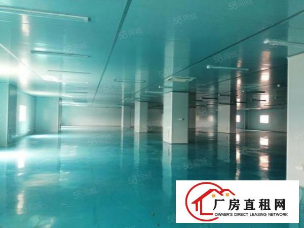  虎门临广深高速大宁新出十万级无尘车间2200平拧包入住