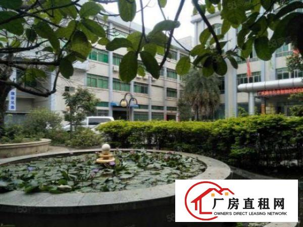  交通便利，可办环评！虎门5万平红本厂房开始任意分租啦！