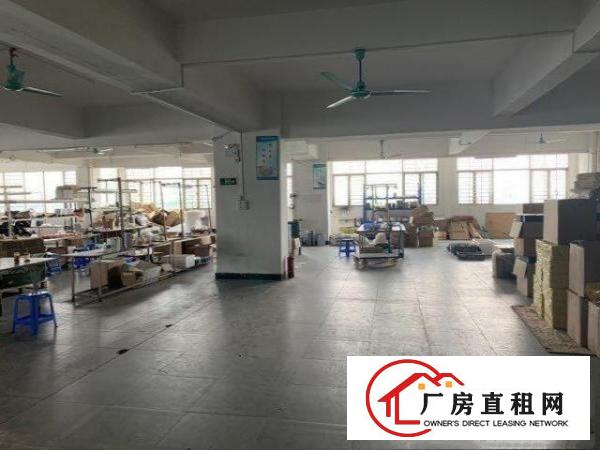  标准厂房，一手房东，无任何管理费用，中介勿扰！