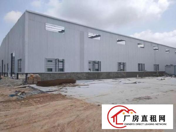  东莞市沙田镇新建全新劳牛角重工业厂房低价出租