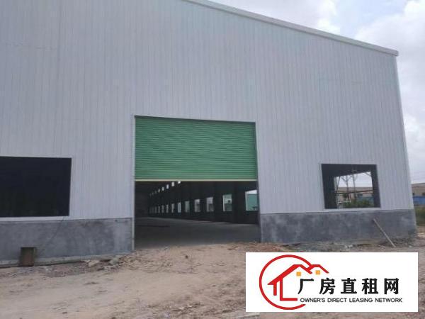  东莞市沙田镇新建全新劳牛角重工业厂房低价出租