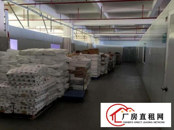  沙田镇新出花园式独院标准厂房3200面积出租。