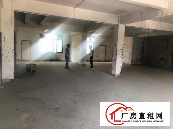  出租沙田镇沙田城区对面腾辉小学后面幼儿园碧桂园