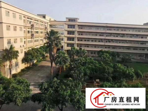  沙田镇新出花园式可分租适合上市公司高端产业园