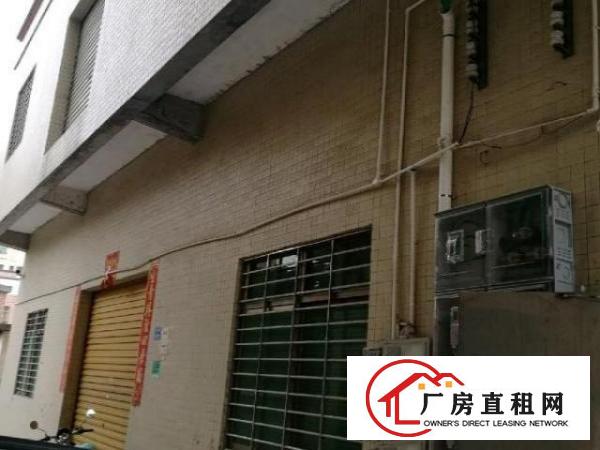  沙田镇港口大道附近750平方