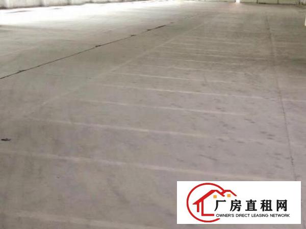  单一层21000带卸货平台，空地19000平