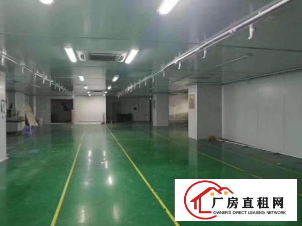  出租沙田镇沙田城区的厂房有各种各样的欢迎看房