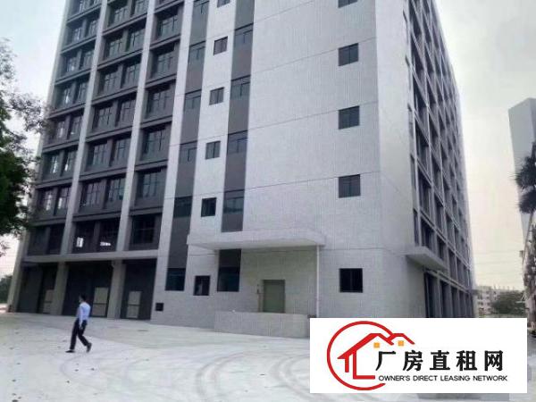  出租沙田镇沙田城区的厂房有各种各样的欢迎看房