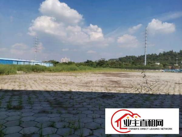  沙田镇港口大道边（11块钱/平）单一层厂房8000平！