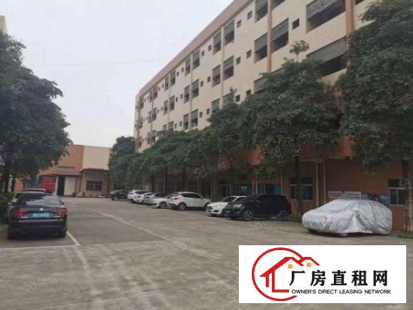  原房东带家具环评32500平方单一层9米高厂房出租配套齐全