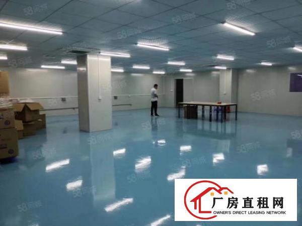  沙田镇三楼3000平无尘车间厂房出租全新地坪漆工业用地水电全