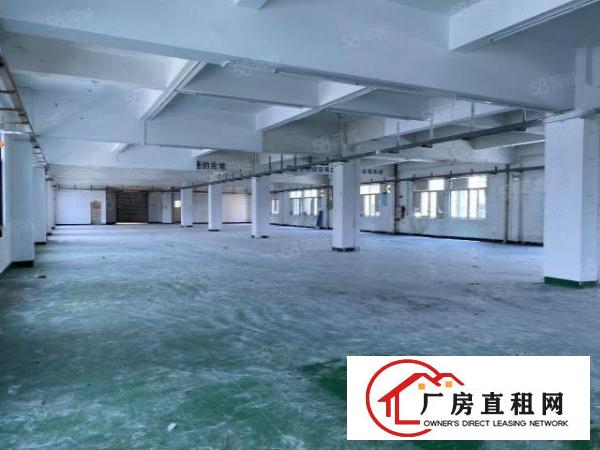 沙田大泥原房东标准厂房二楼1400平方出租