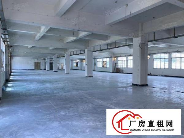  沙田大泥原房东标准厂房二楼1400平方出租