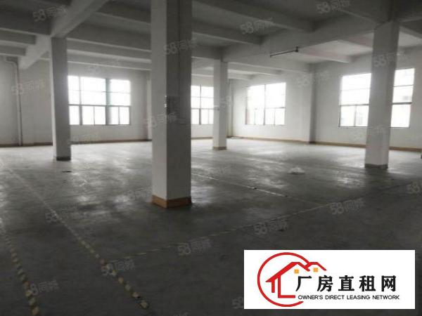  沙田原房东独院标准厂房26000平实际面积租可办环评靠高速口