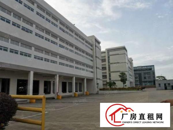  沙田原房东独院标准厂房26000平实际面积租可办环评靠高速口