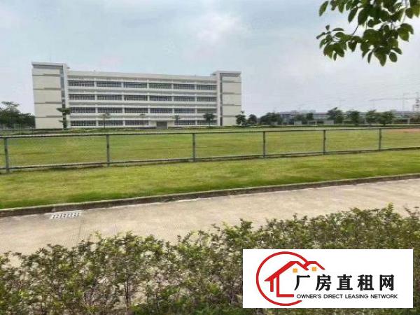  沙田镇新出原房东独院厂房23000平米招租