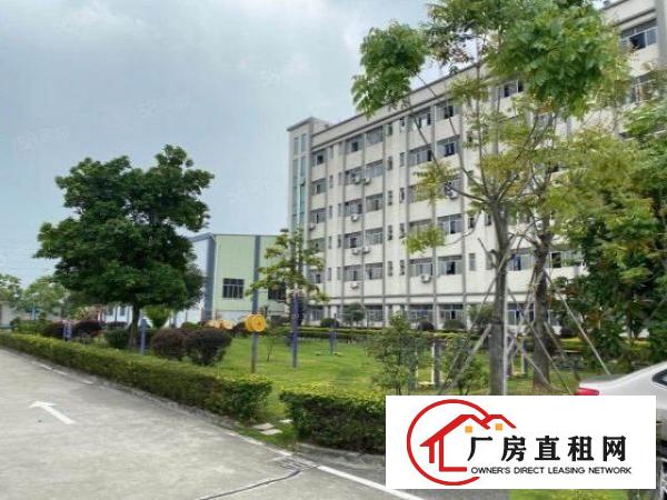  沙田镇新出原房东独院厂房23000平米招租