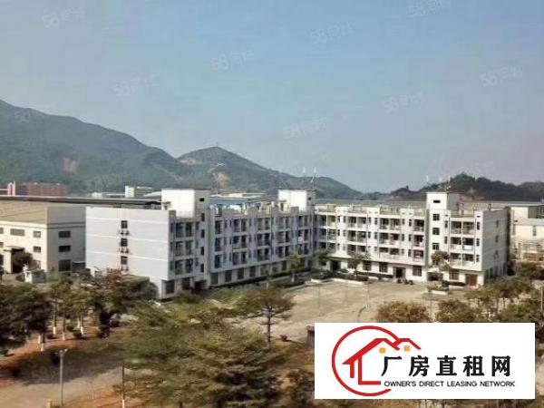  沙田镇新出原房东新建钢构厂房招租