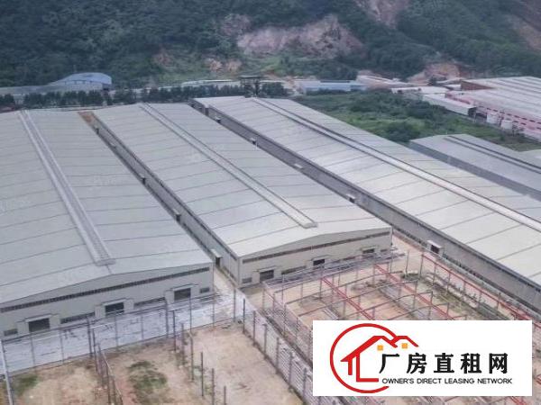  沙田镇新出原房东新建钢构厂房招租