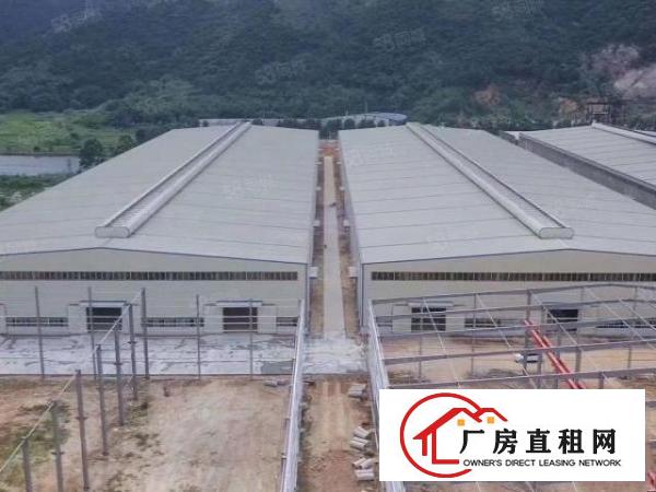  沙田镇新出原房东新建钢构厂房招租