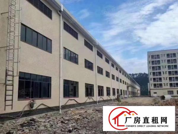  沙田镇新建全新钢构厂房8900平米招租