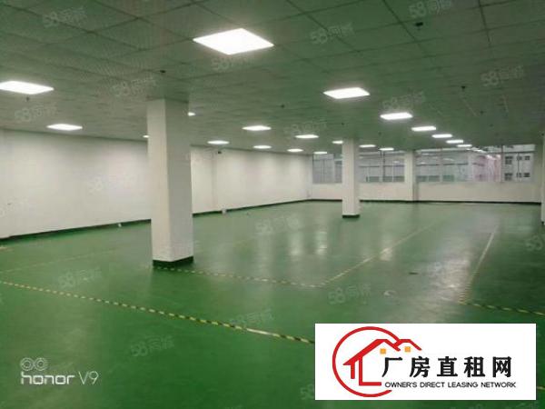  沙田独院分租二楼整层4500方厂房招租