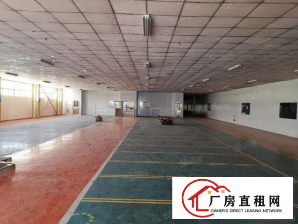  沙田大泥新出楼房独院7500平方厂房招租，形象好空地大