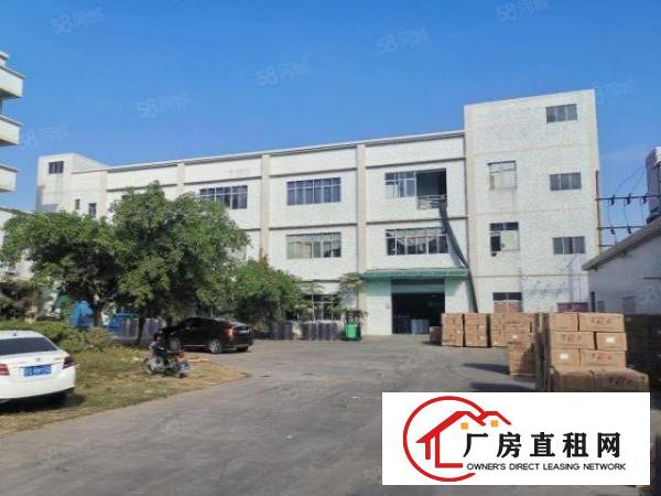  沙田大泥新出楼房独院7500平方厂房招租，形象好空地大
