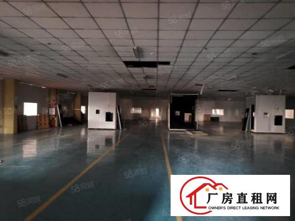  沙田大泥新出楼房独院7500平方厂房招租，形象好空地大