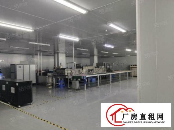  原房东独院标准厂房三层3900平方现成水电装修千级无尘车间
