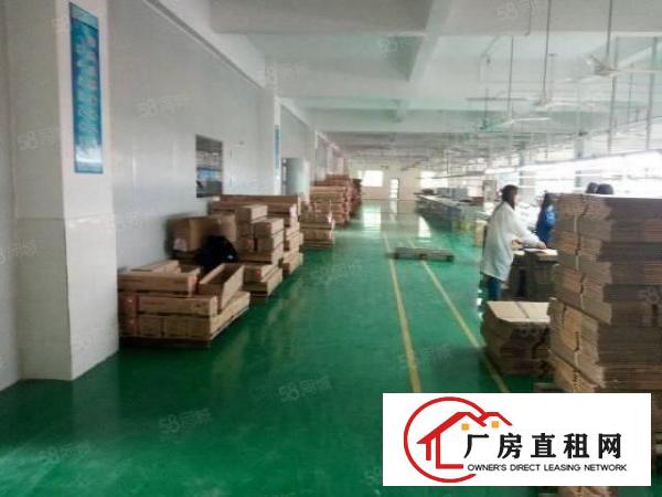  原房东独院标准厂房三层3900平方现成水电装修千级无尘车间