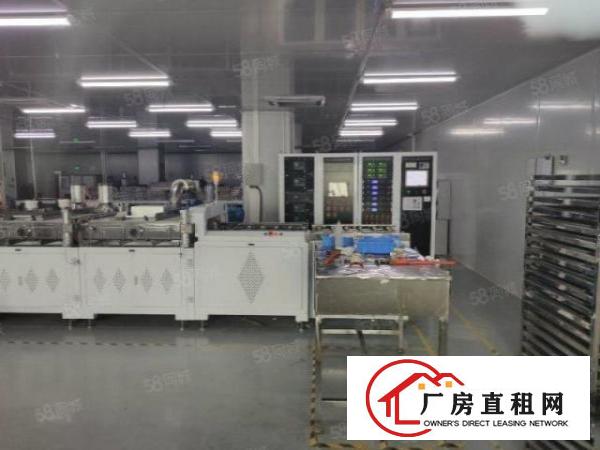  原房东独院标准厂房三层3900平方现成水电装修千级无尘车间