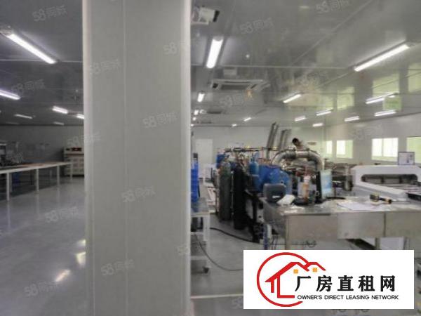  原房东独院标准厂房三层3900平方现成水电装修千级无尘车间