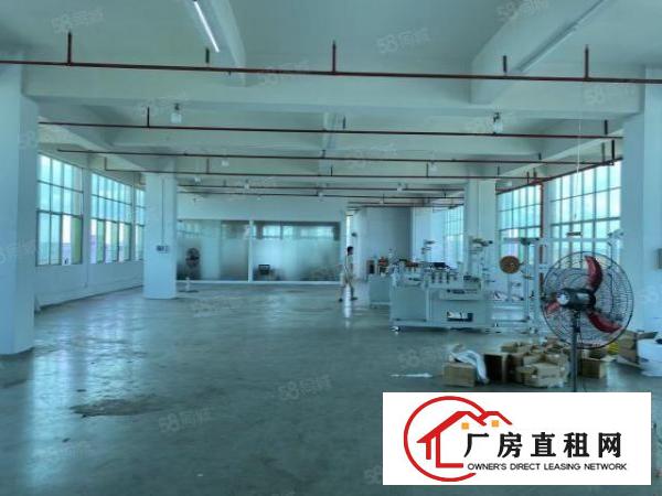  沙田西太隆工业区标准厂房单层800平方出租