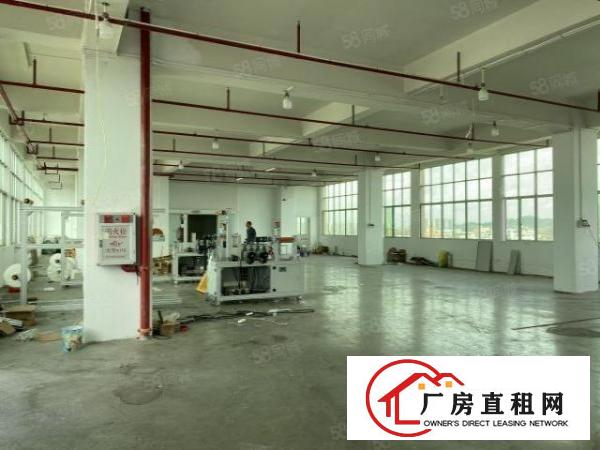  沙田西太隆工业区标准厂房单层800平方出租