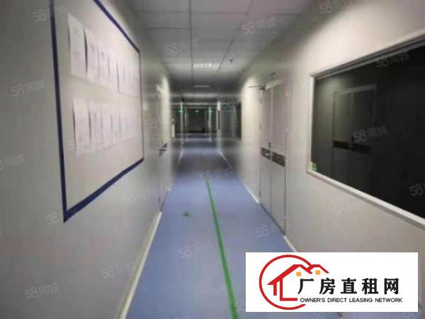  沙田工业区有1000平方豪华装修无尘厂房，好办环评无需转让费