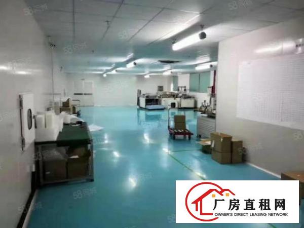  沙田工业区有1000平方豪华装修无尘厂房，好办环评无需转让费