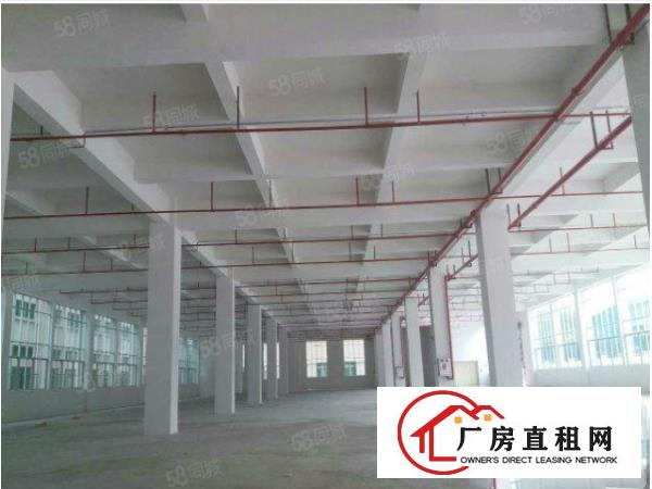  原房东实际面积1.5万方全新厂房出租共4层超靓