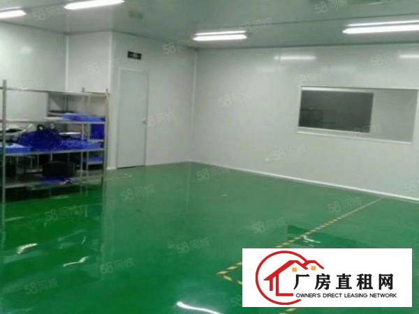  沙田大泥新建楼房2栋3万平方楼房招租