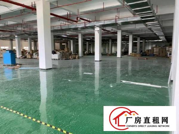  厚街汀山社区，坑口市场附近一手厂房出租