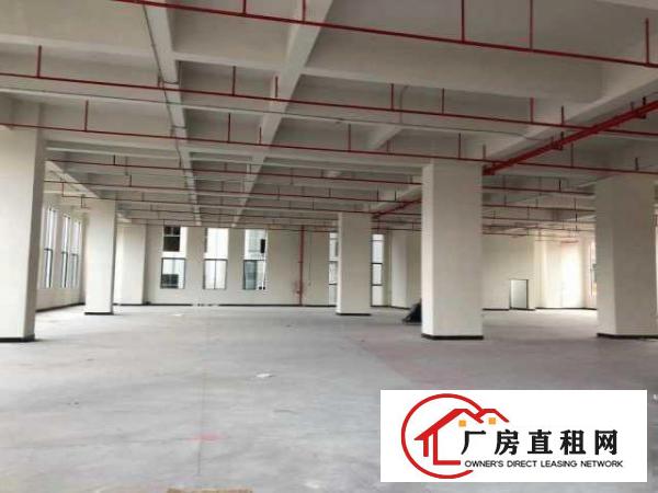  （出租）免超长租期产业园500平标准厂房只要六千抓紧8月底