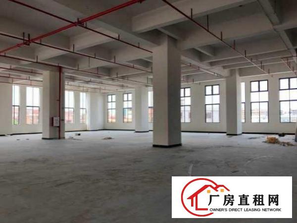  （出租）免超长租期产业园500平标准厂房只要六千抓紧8月底
