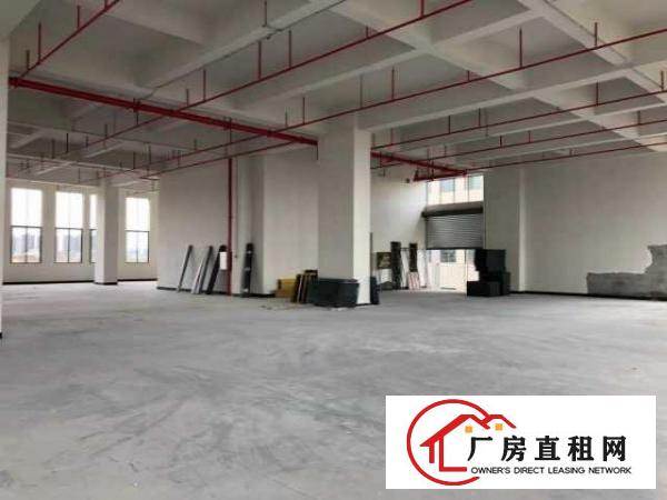  （出租）免超长租期产业园500平标准厂房只要六千抓紧8月底