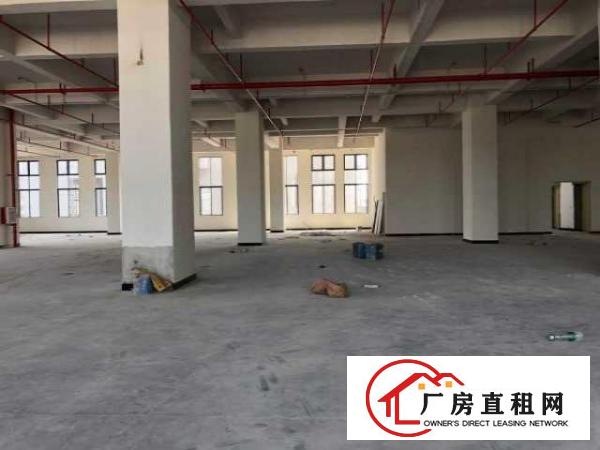  （出租）免超长租期产业园500平标准厂房只要六千抓紧8月底