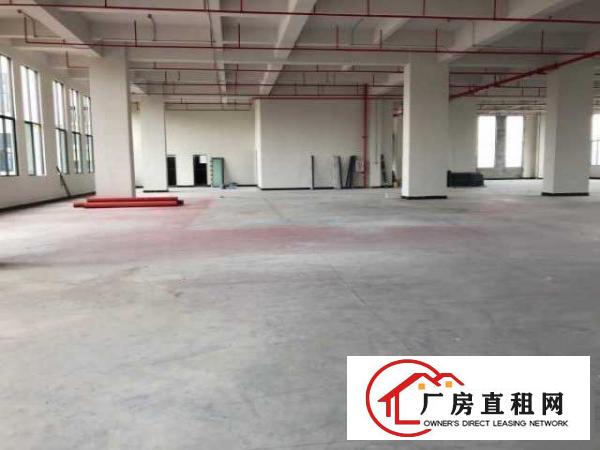  （出租）免超长租期产业园500平标准厂房只要六千抓紧8月底