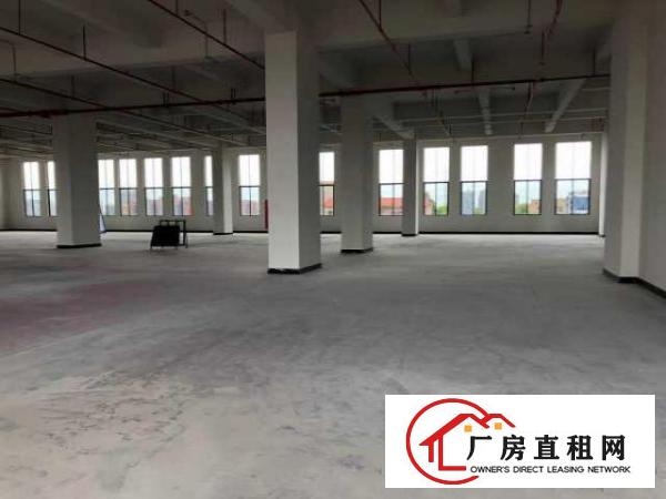  厚街大型高新园标准厂房1000平出租价格低同行限7月前