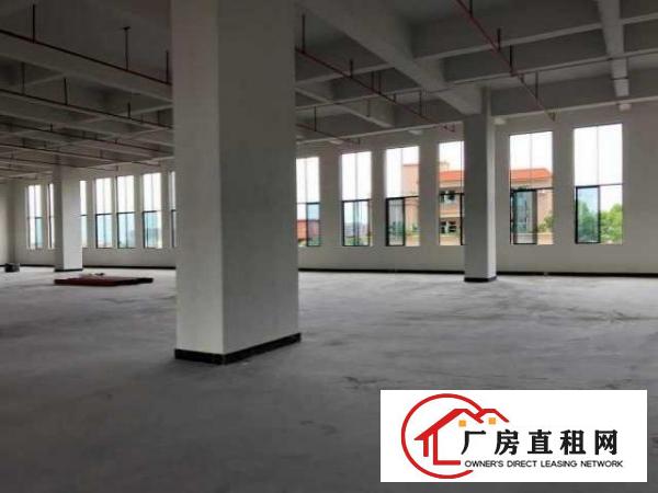  厚街大型高新园标准厂房1000平出租价格低同行限7月前