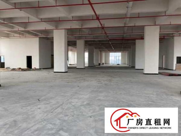  （急出租）厚街万达旁高大尚厂房700平有喷淋消防验收合格证