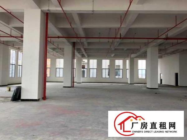 （急出租）厚街万达旁高大尚厂房700平有喷淋消防验收合格证