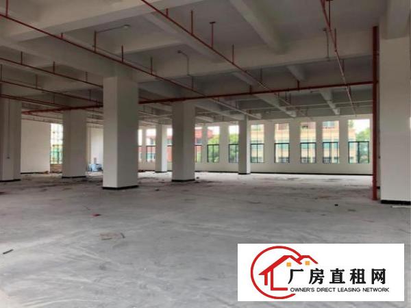  （急出租）厚街万达旁高大尚厂房700平有喷淋消防验收合格证